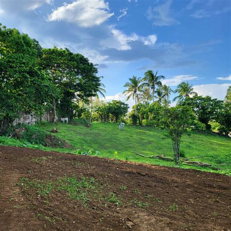 Lots for Sale in Cavite .
